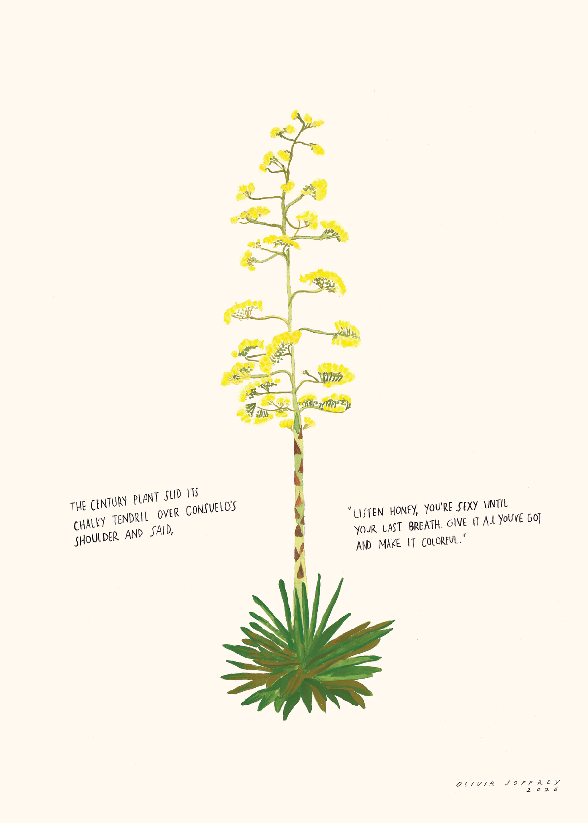 Botanical prose - Century Plant print