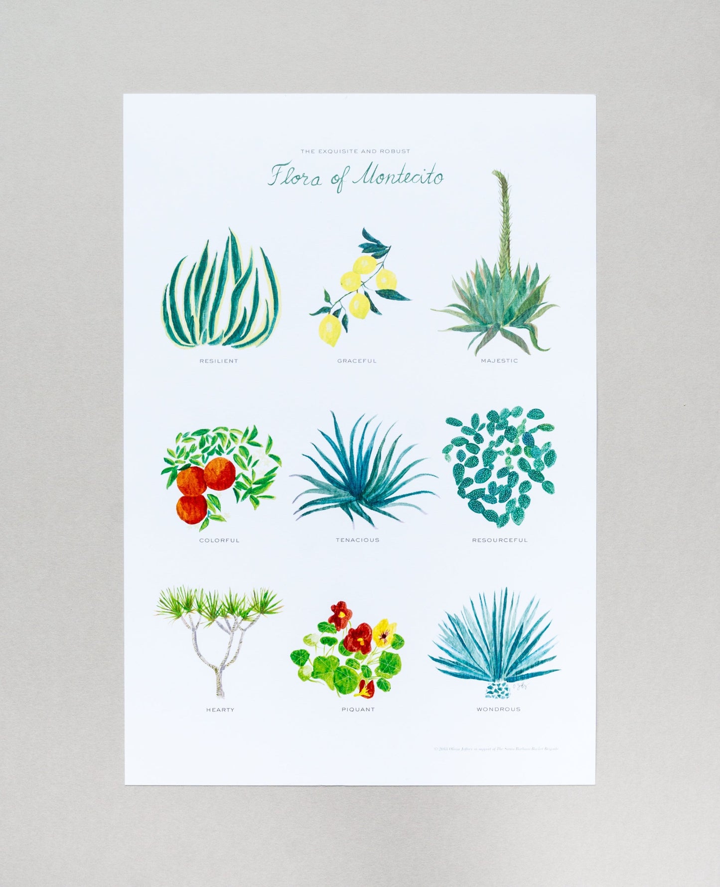 Flora of Montecito Print